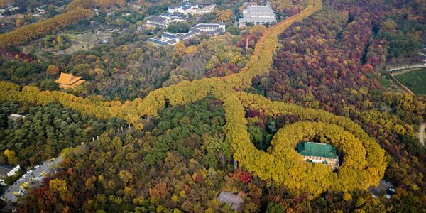 润滑油商情网的编辑们,今天半残了