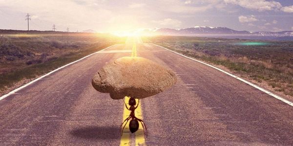 一个公司为什么要聘用顾问呢?信息无价